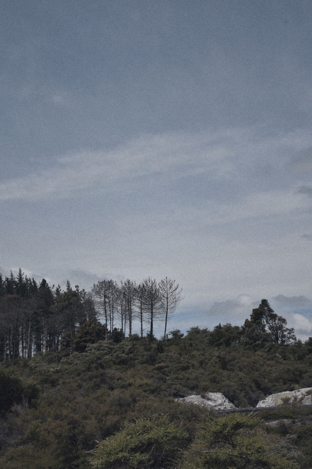 Travel & Photography